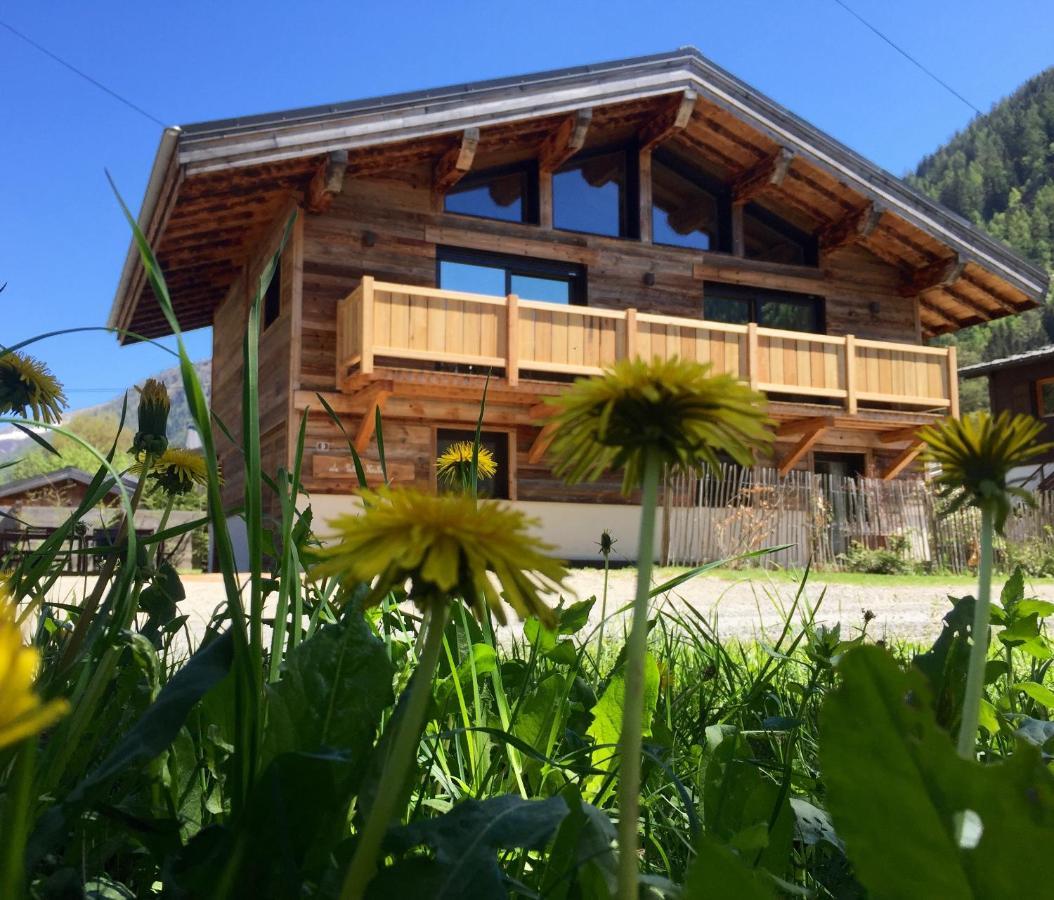 Chalet Le Petit Nicolas, Jacuzzi, Vue Mont Blanc Chamonix Bagian luar foto